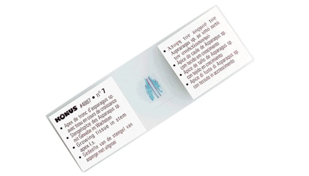 KONUS Human Tissues First Series - Juego de Diapositivas (10 Diapositivas)