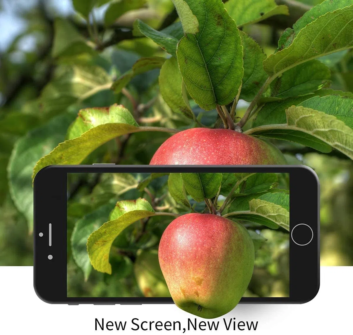 Brinonac Pantalla para iPhone 6, 4.7" Pantalla Táctil LCD con botón de Inicio,Cámara Frontal, Sensor de proximidad, Altavoz, ensamblaje de Marco digitalizador y Kit de reparación (Negro)