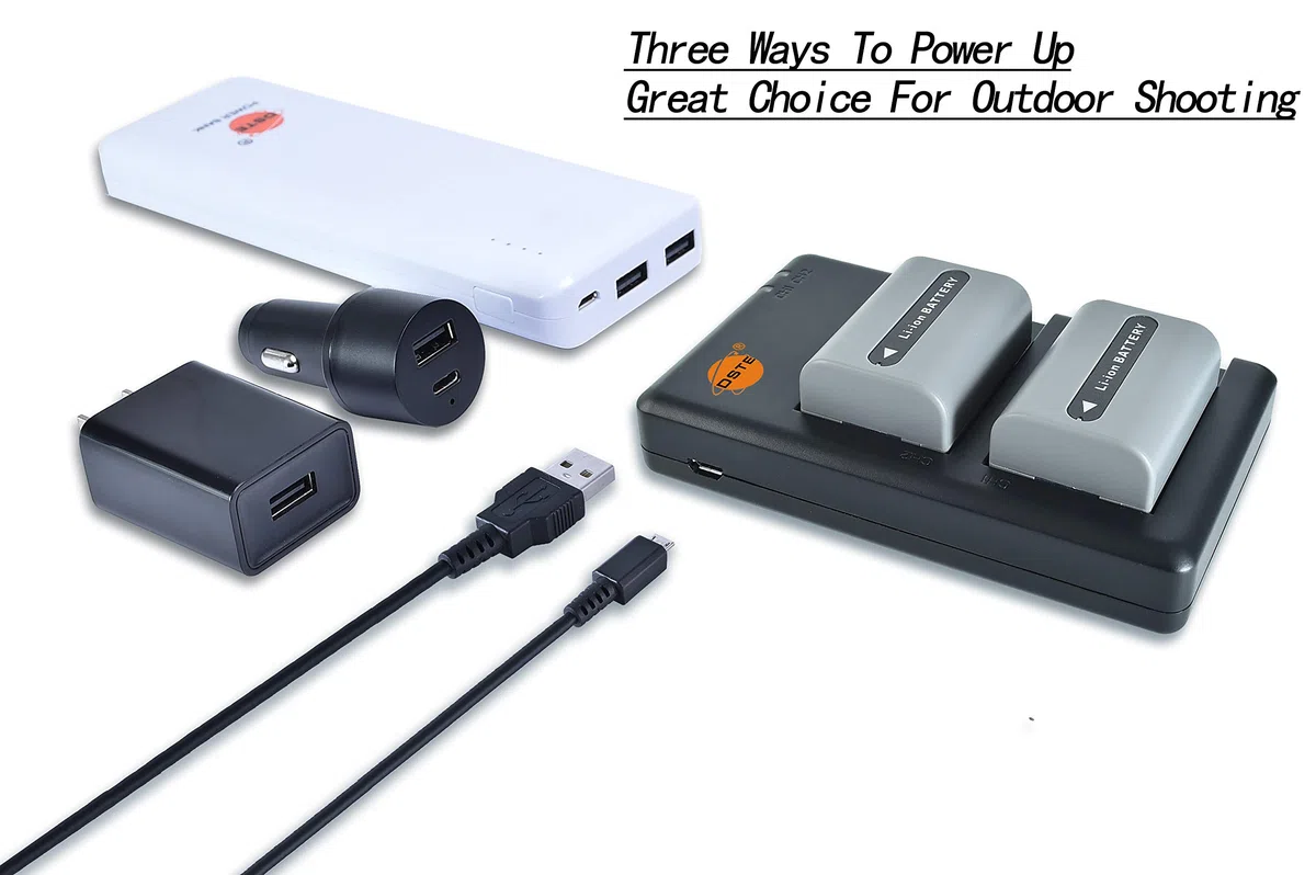 DSTE NP-FP50 - Batería recargable de repuesto y cargador dual compatible con cámaras Sony NP-FP30, DCR-30, DVD103, DVD105, DVD202E, DVD203, DVD205, DVD304E, DVD305, etc