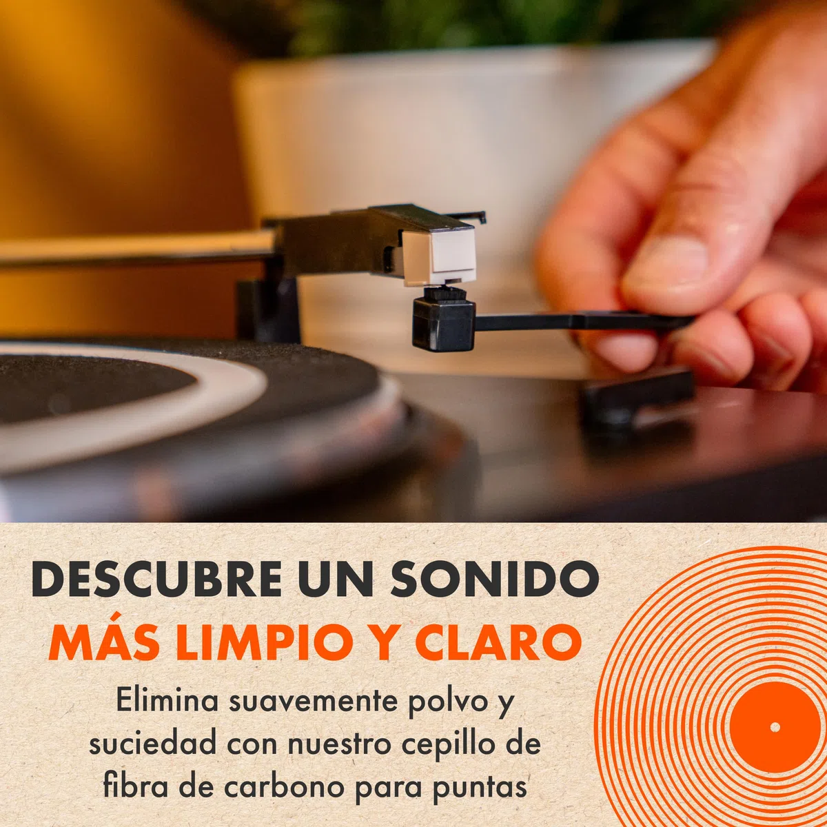 5 En 1 Kit De Limpieza Vinilos SPINCARE | 200ml Limpiador Vinilos De Discos | Antiestatico Cepillo | Limpia Agujas Tocadiscos | Paño De Microfibra | Soporte De Secado Y Exhibición