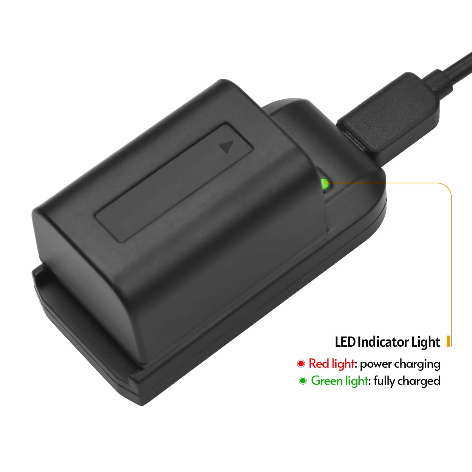 Andoer Cargador de batería NP-FV5 con luz indicadora LED + 2 baterías NP-FV5 Plus 3.7V 1000mAh con Cable de Carga USB