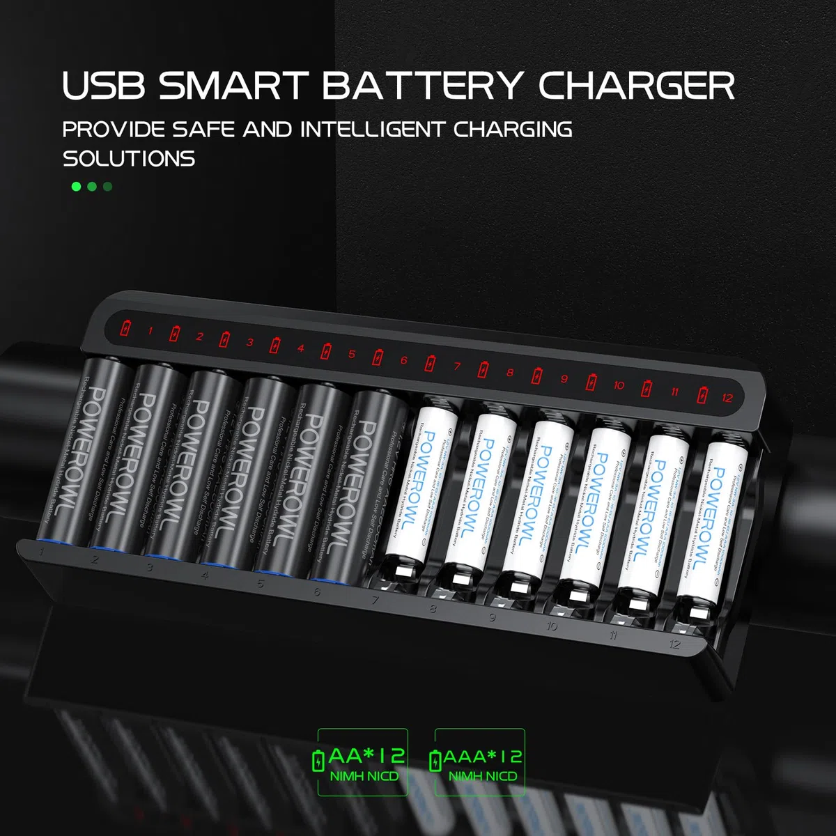 POWEROWL Cargador de Pilas Recargables Rápido, para Pilas Recargables Ni-MH AA AAA, Sin Adaptador (12 Ranuras