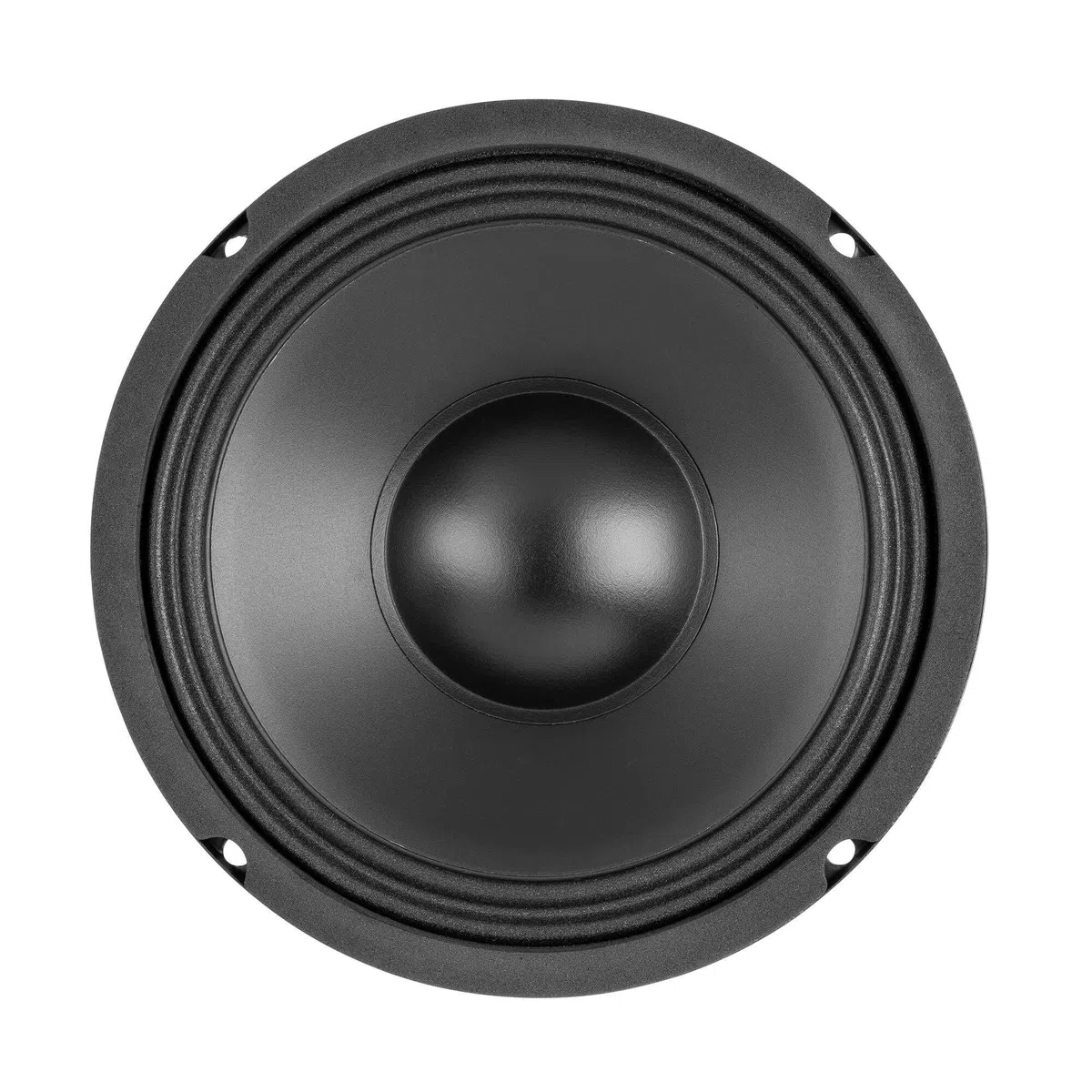 Fenton WP16 - Altavoz de Graves de Alta Fidelidad, Woofer de Repuesto Con Cono PP de 16 cm, 200 Vatios, 8 Ohm, 6,5 Pulgadas - Integrado