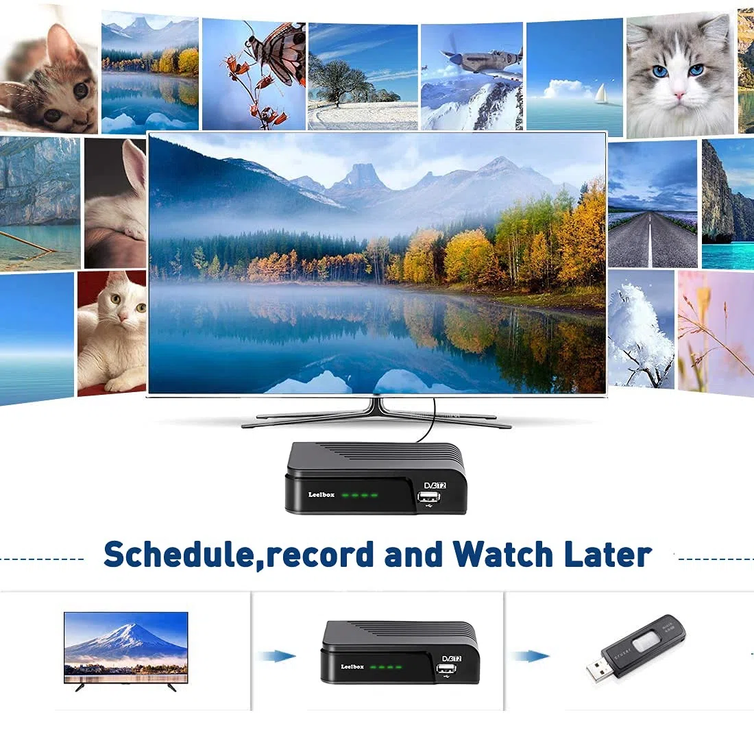 Decodificador TDT Terrestre, sintonizador TDT DVB T2 Receptor Digital terrestre Full HD /1080p/3D/H.264/Dolby/MPEG-2/4