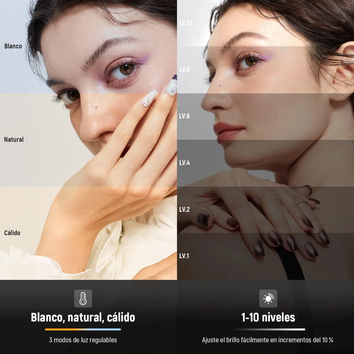 NEEWER BÁSICO Clip on Luz LED Selfies Compatible con iPhone, Recargable 2000mAh, con Soporte Teléfono Paño Limpieza, Luz Relleno para Webcam Laptop Zoom Videoconferencia Grabación Maquillaje, NL-60AI