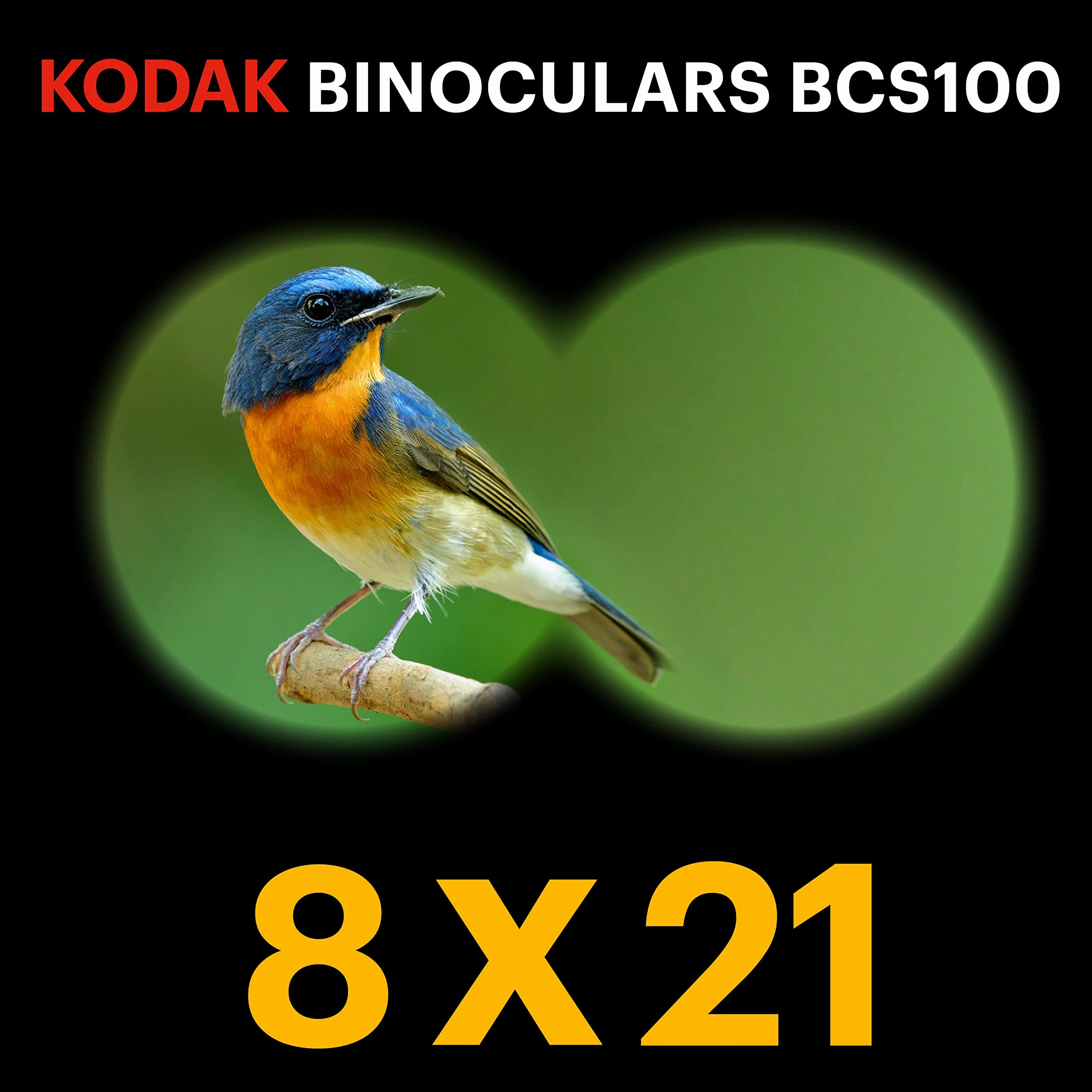 KODAK Jumelle Enfant BCS100 - Jumelle Binoculaire Compact pour Enfants, Gomme Souple, Ergonomique, Sangle et Housse de Transport Inclus, Grossissement 8X – Bleu