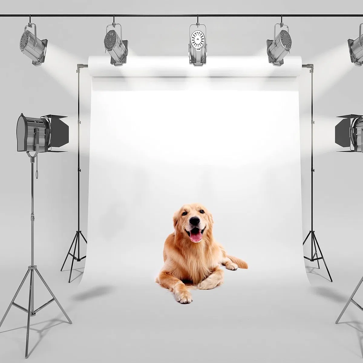 KingSaid Soporte de Fondo para Fotografía Profesional 2 x 3 Metros Ajustable y Retráctil, fotografía de Productos y grabación de Video, con Bolsa de Lona portátil