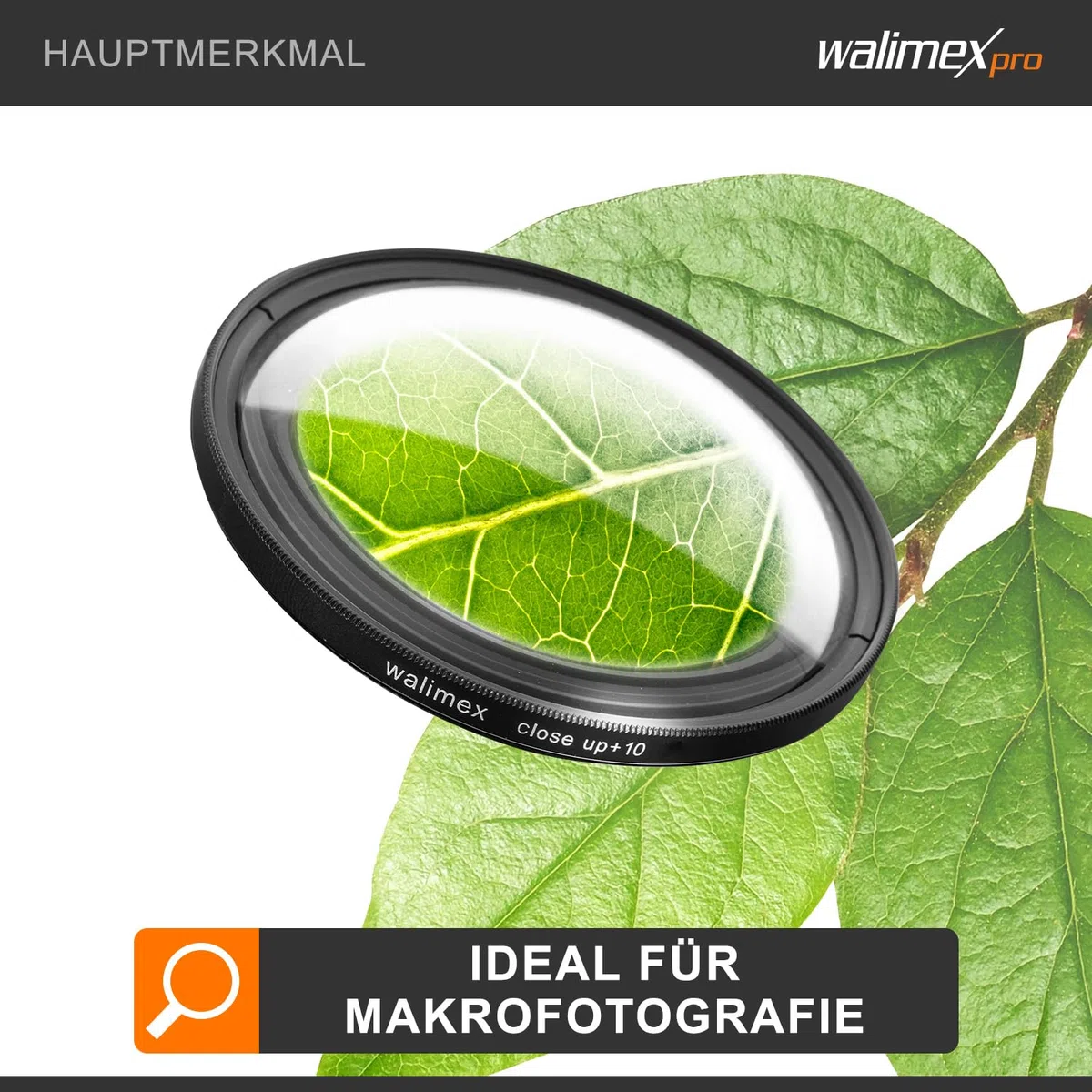 Walimex - Juego de lentes para primeros planos especial para macrofotografía (62 mm, +1/+2/+4/+10 dioptrías)