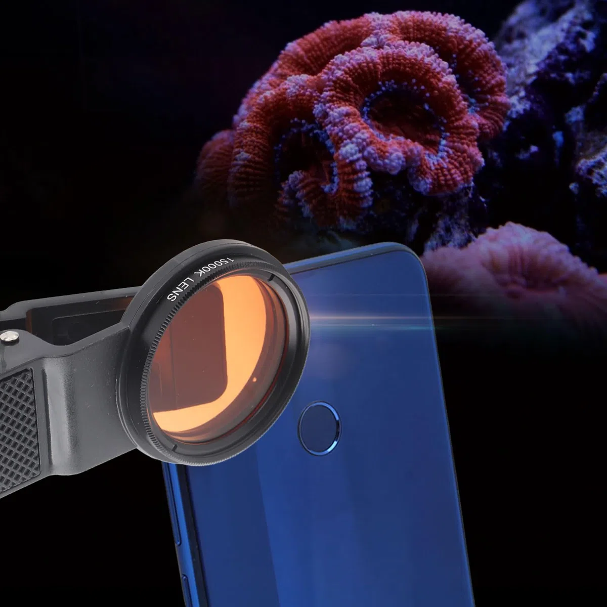 Lente de Fotografía Cilíndrica de Coral para Pecera de Agua de Mar con Filtro Macro Acuario Lente Ideal para Fotografía Subacuática Este Experto Lente con Filtro Amarillo Esta