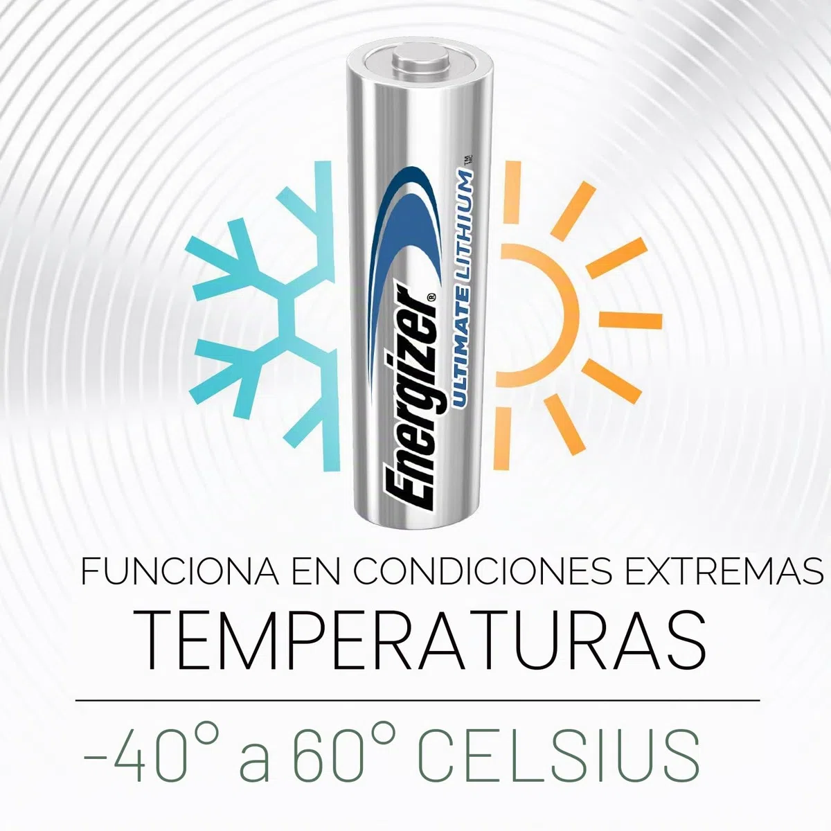 Energizer Ultimate Lithium - Pack de 10 pilas Ultimate Lithium AA